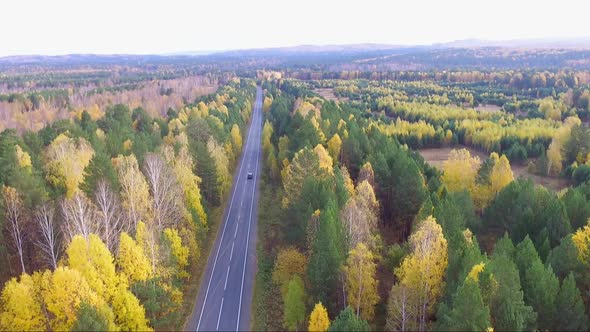 Aerial View of a Highway in an Autumnal Forest From a Drone