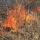 Fire Rages In Long Grass, Foreground - VideoHive Item for Sale