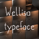 Wellisa font - GraphicRiver Item for Sale