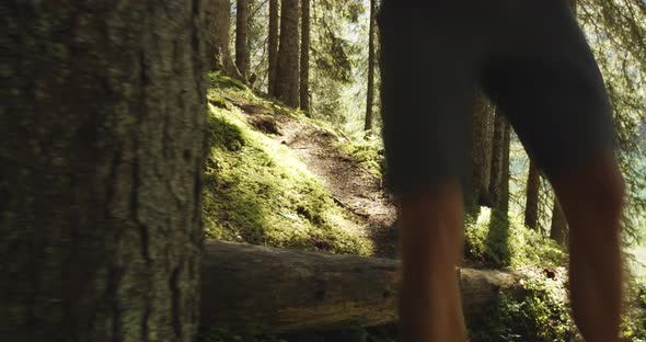 Young Active Man Legs Jumping a Log Near Sunny Forest Woods Path