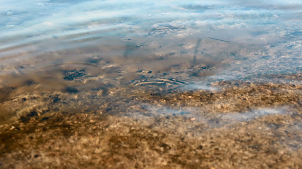 Stone Sea Beach