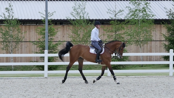 The Man Riding On The Horse At The Arena alt