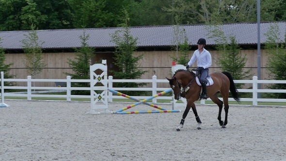 The Man Training To Ride On The Horse