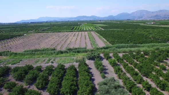 Aerial View Of Beautiful Neretva Valley In Southern Croatia.