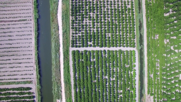 Aerial View Of Beautiful Neretva Valley In Southern Croatia.