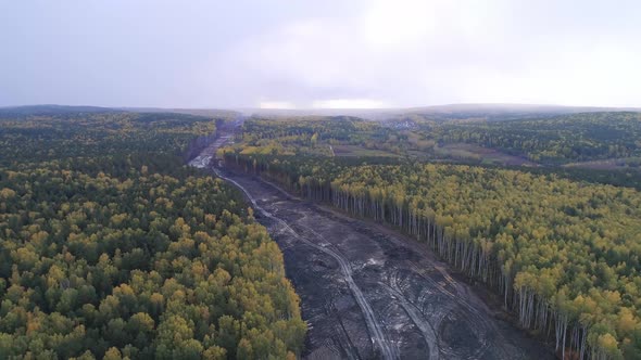 Construction of a new road in the forest area 09