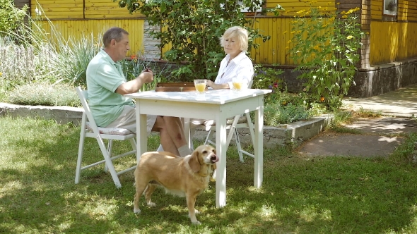 Elderly Couple Playing a Board Game In The Garden.