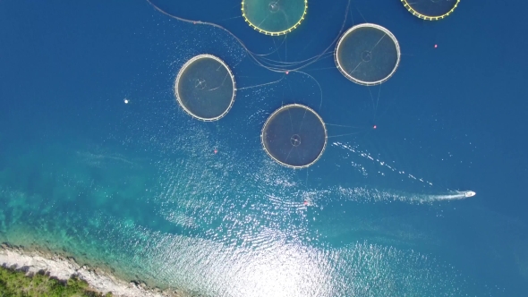 Aerial View Of Fish Farm Near The Island Of Dugi Otok