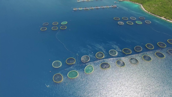 Aerial View Of Fish Farm Near The Island Of Dugi Otok