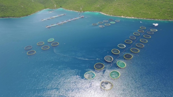 Aerial View Of Fish Farm Near The Island Of Dugi Otok