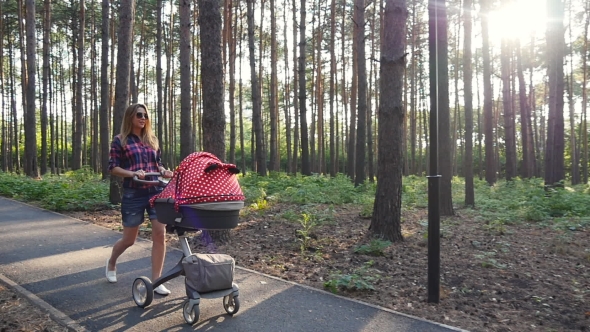 Mother With Baby In Buggy Walking In Park