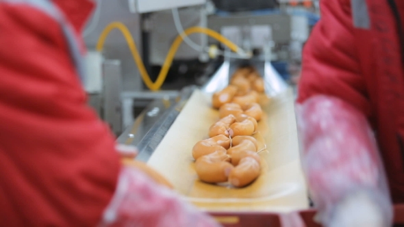 Conveyor For The Packaging Of Sausages