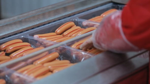 Production And Packing Of Sausages