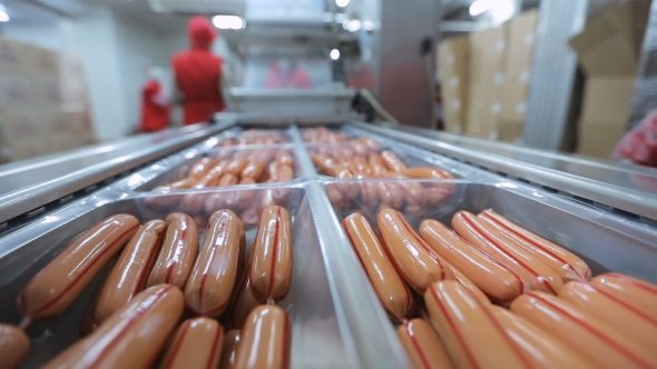 Conveyor For The Production And Packing Of Sausages