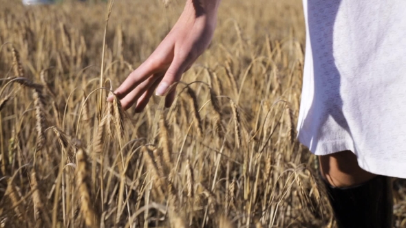 Woman In White Dress Walking Along Cereal Field 29