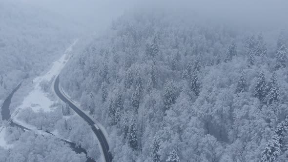 Aerial shot: cars and trucks are driving by the road in winter forest.