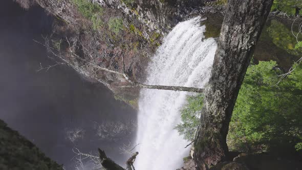 Beautiful Waterfall in Canadian Nature in the Rain Forest