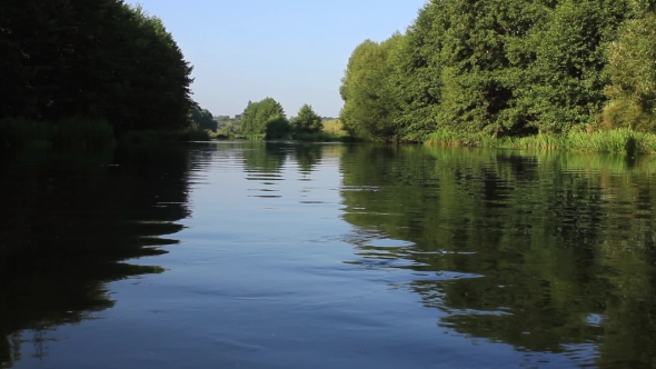 River Flowing In Forest