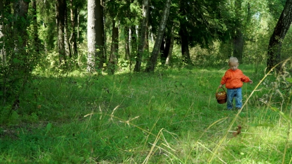 Funny Little Boy of 1.5 Years Bears in the Mushrooms in the Basket