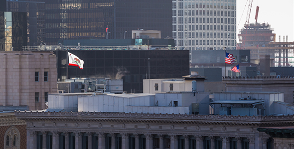 Downtown Los Angeles Rooftop Flags