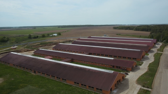 Aerial Shot Roof Of The Animal Houses In The Farm