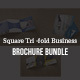 Square Tri-fold Business Brochure Bundle - GraphicRiver Item for Sale