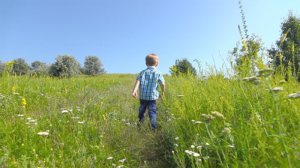 Boy Walking in Wild Meadow