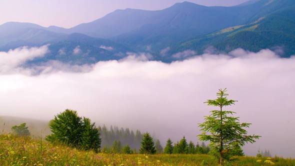 Morning Mist in Mountans.