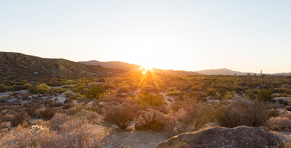 Joshua Tree National Park, California Sunset