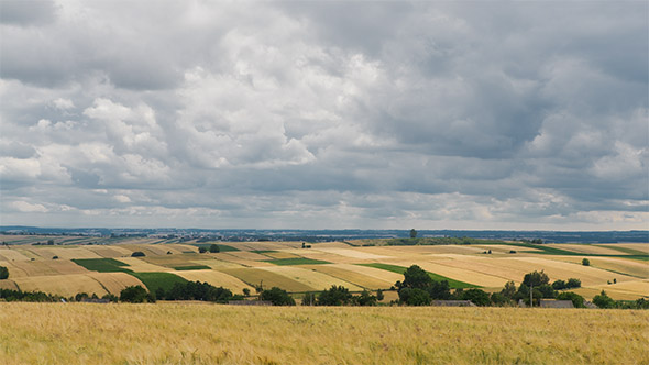 Agriculture Wheat Field and Blue Cloudy Sky