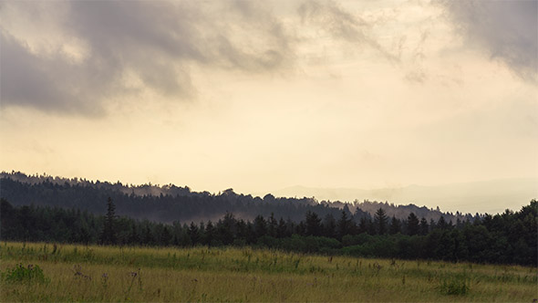 Foggy Morning Near the Forest