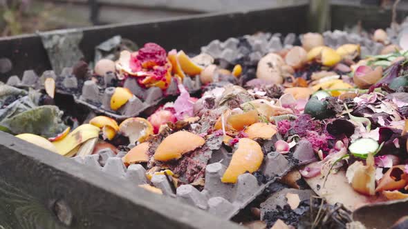 A Closeup of the Camera Pan Over the Food Waste Compost Heap