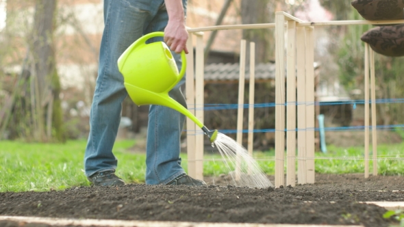 Man Watering Freshly Landscaped Garden