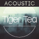 Upbeat Acoustic