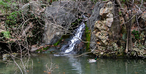 NYC Central Park Lake Waterfall