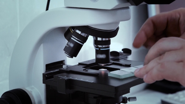 Man's Hand Laboratory Scientist Set Glass Slide In The Microscope For Analysis.