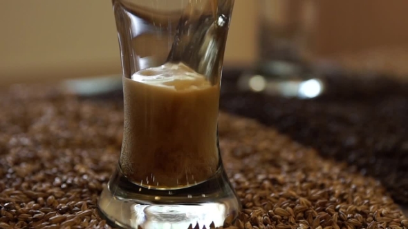 Dark Lager Beer Pour Into Glass On a Table With Malt Grain