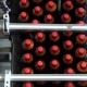 The Conveyor Belt Production Of Beer In PET Plastic Bottles. - VideoHive Item for Sale