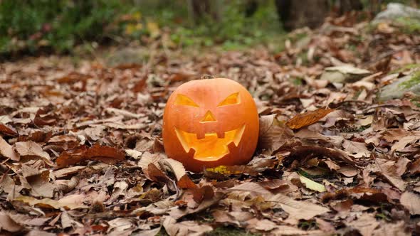 Halloween Pumpkin Glowing