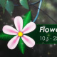 Flower Lower Third - VideoHive Item for Sale