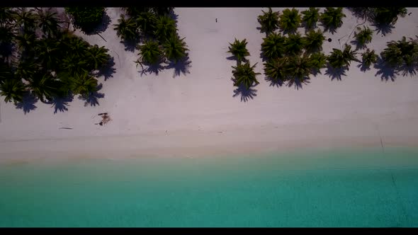 Aerial drone view seascape of tropical shore beach wildlife by shallow ocean with white sand backgro