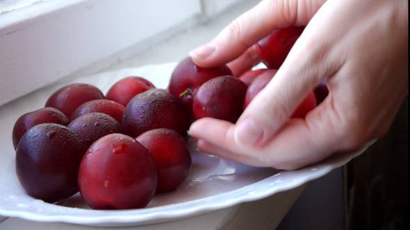 Taking Red Plums
