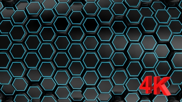 Animated Black Honeycombs