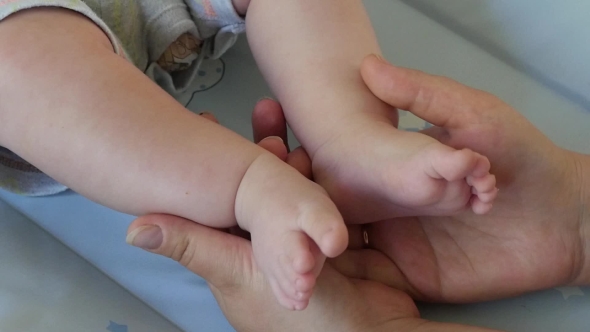 Baby Feet Cupped Into Mothers Hands