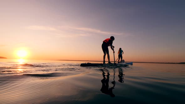 People Stand on a Paddleboard, Training with a Dog.