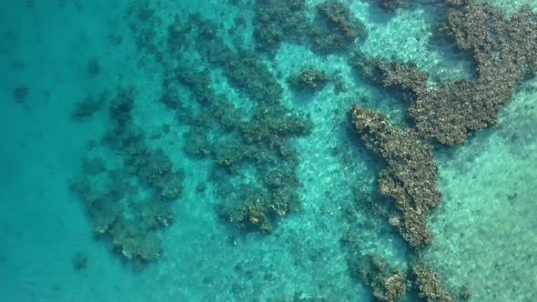 Aerial footage of the Coral Reef Nature Reserve, Eilat Israel.