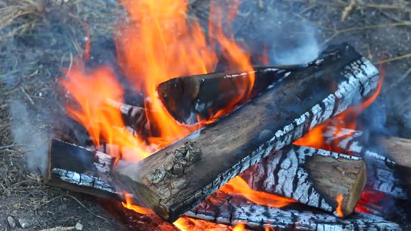 Closeup Burning of Wooden Logs with a Small Fire and Small Sparks and Glowing Coals Scattering