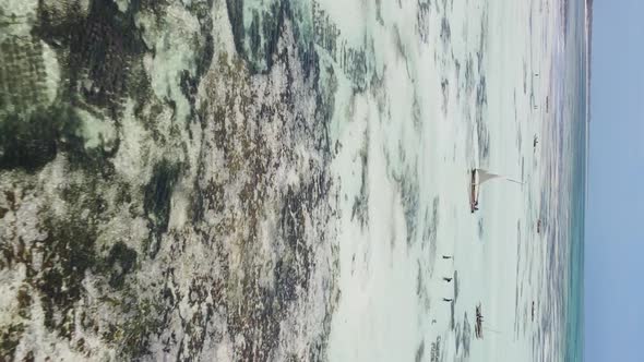 Vertical Video of Low Tide in the Ocean Near the Coast of Zanzibar Tanzania Aerial View