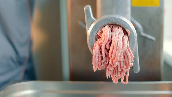 Industrial Minced Meat in a Large Meat Grinder