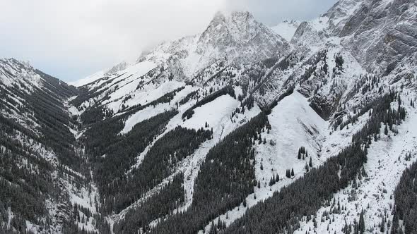 Drone shoots a mountain valley and forest covered with snow in Kananaskis, Alberta, Canada